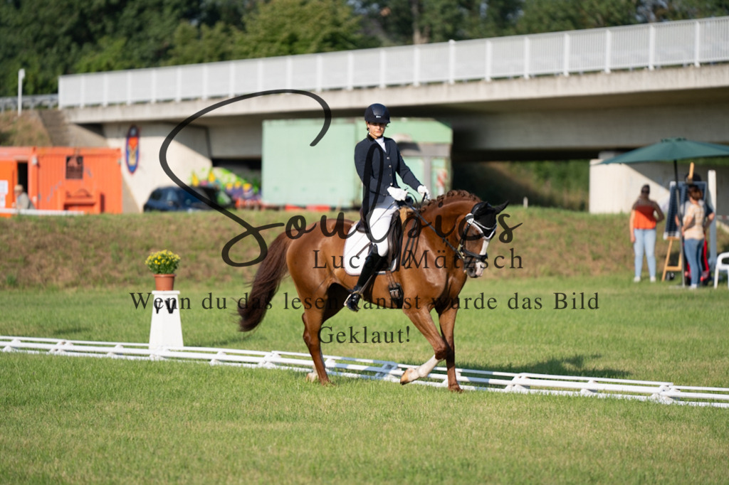 A7V09177 | Pferdefotograf