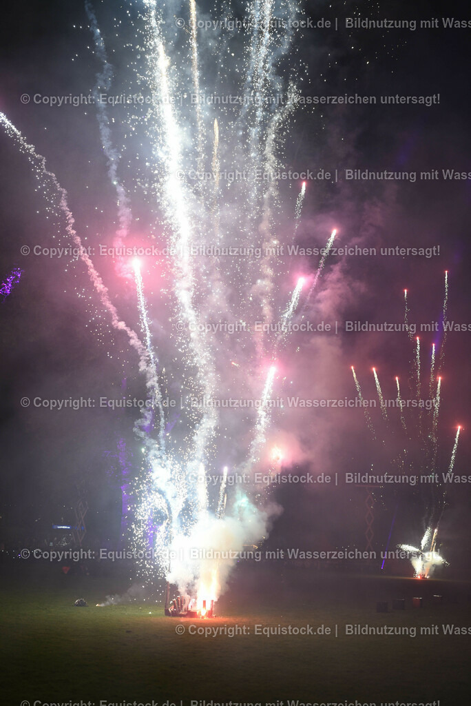20230526_Pferdenacht_1615 | equistock