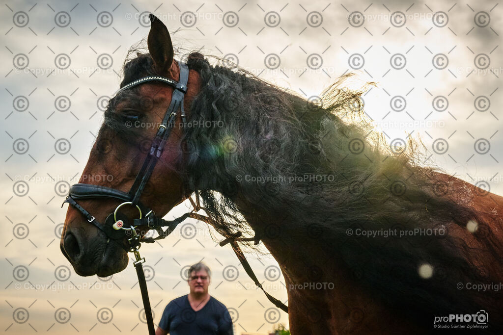 064_202406_Niki-Herodes_NZ9_9758 | proPHOTO - Realisiert mit Pictrs.com