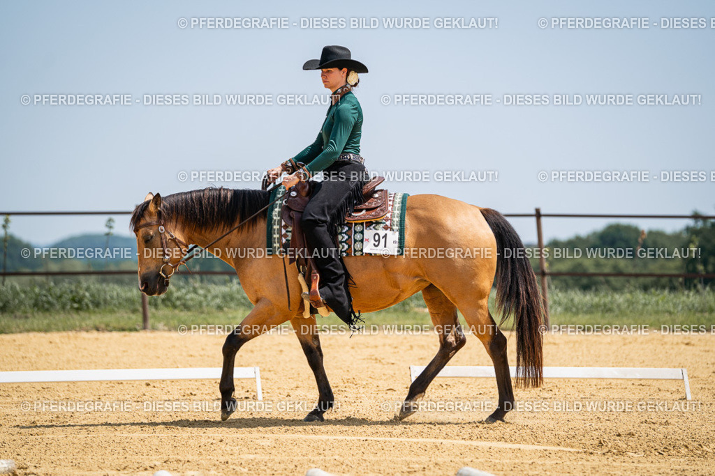 DSC01272 | Pferdegrafie