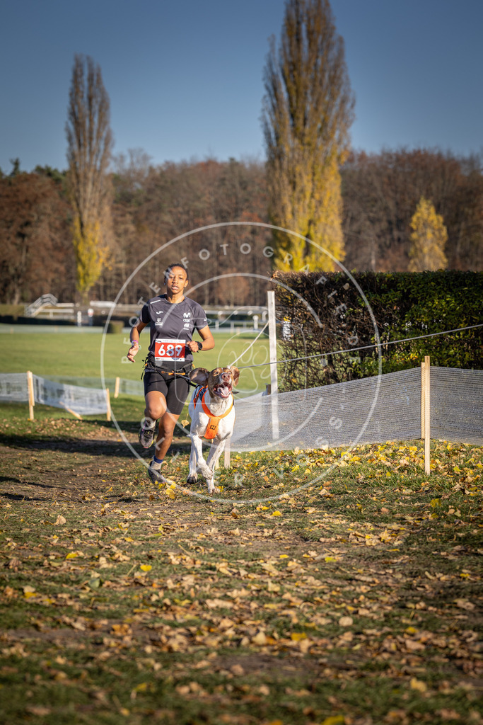 CaniXpix_DV3A1242 | Hundefotografie, Tierfotograf, Pfotenfotografie, Fotoshooting Hund, Hunde Portrait, Hundesport, Hundeportraits, Heideshooting, Hunde, Sportfotograf, Hundefotograf, Turnierhundsport, THS,  - Realisiert mit Pictrs.com