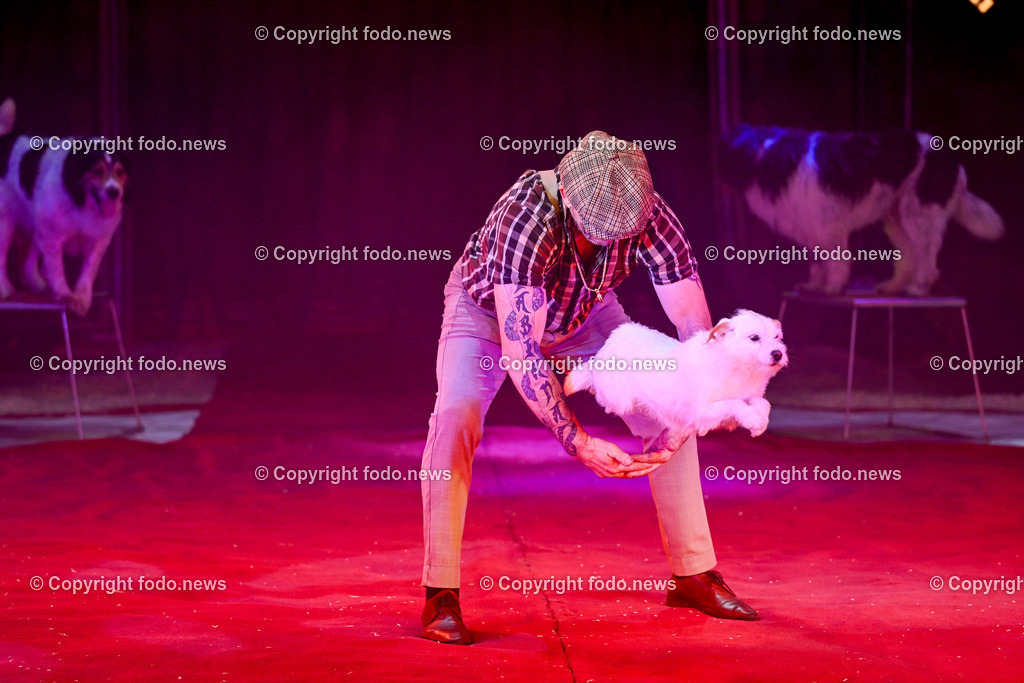 Zirkus Louis Knie_ 17.02.2024-19 | 17.02.2024, Linz, AUT, Circus Louis Knie 2024, im Bild Circus, Zirkus, Zelt, Artisten, Kuenstler, Trapez, Show, Clown, Zuschauer, Hunde, Ponys, Licht, Musik, Akrobaten, Akrobatik, Luftakrobatik