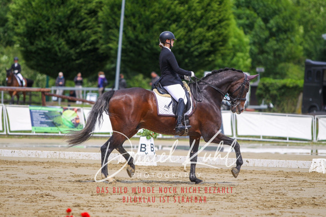 DKP40771 | Turniersportfotografie; Pferdefotografie; Dressurfotografie