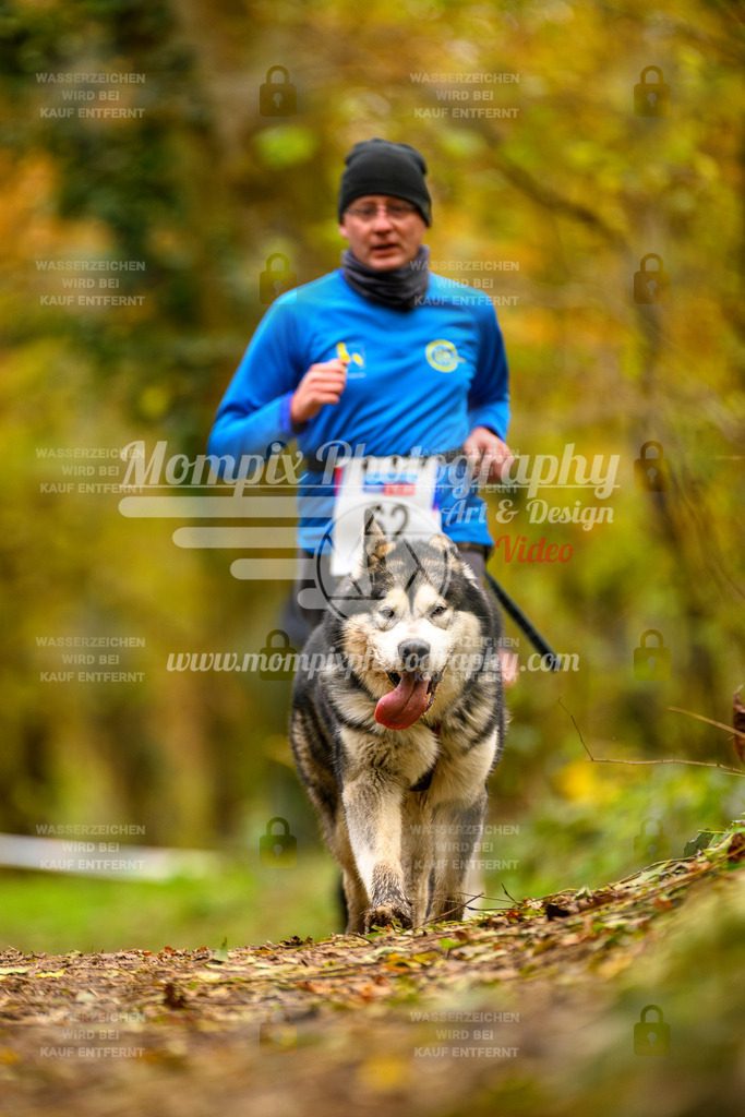 MompixPhotography_Bischwiller24_SA_Canicross-73 | PayLife