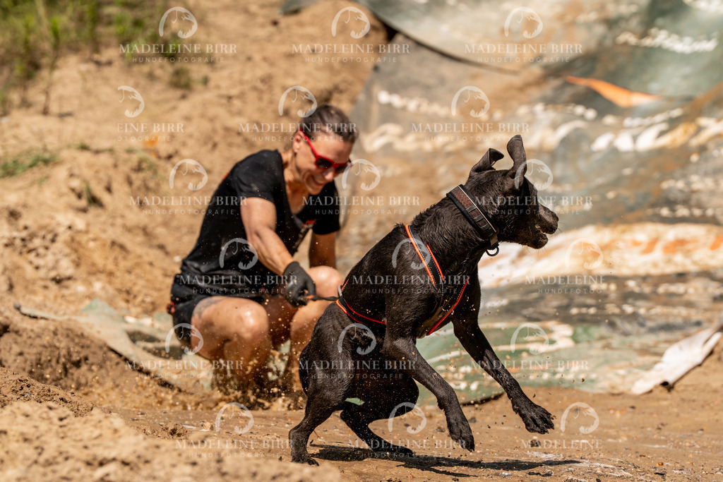 madeleinebirr.fotografie.2026.CC-hoope.samstag.14-24-44.83 | hundefotografie-birr