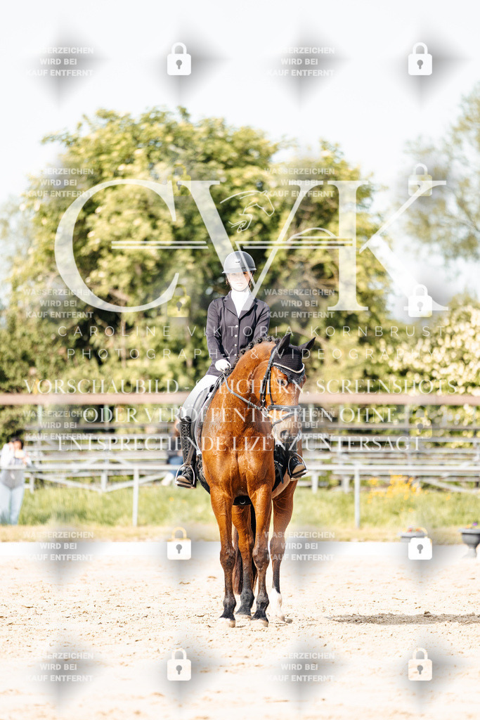CK900380 | Turnierfotografie Pferdefotografie Trier Rheinland-Pfalz Pferdesport Reitsport Tierfotografie Sportfotografie Pferdevideo Pferdevideografie Equestrianvideography equestrianphotography  - Realisiert mit Pictrs.com