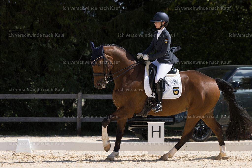 FHC2026_P02_207_13425 | Fichtenhof Classics 2026 – Dressurturnier, Reitanlage Fichtenhof, Schäftlarn