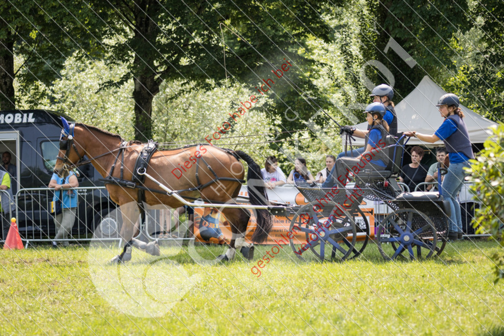 IMG_7943 | Sport-, Event- und Tierfotos in Profiqualität. Einfach auswählen, bestellen und herunterladen. Dein Moment – perfekt festgehalten.