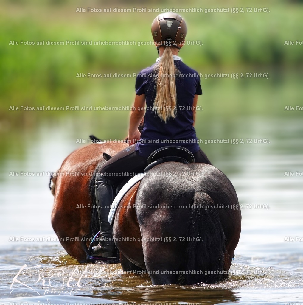 Photo_1706576028501 | krollfotografie - Realisiert mit Pictrs.com