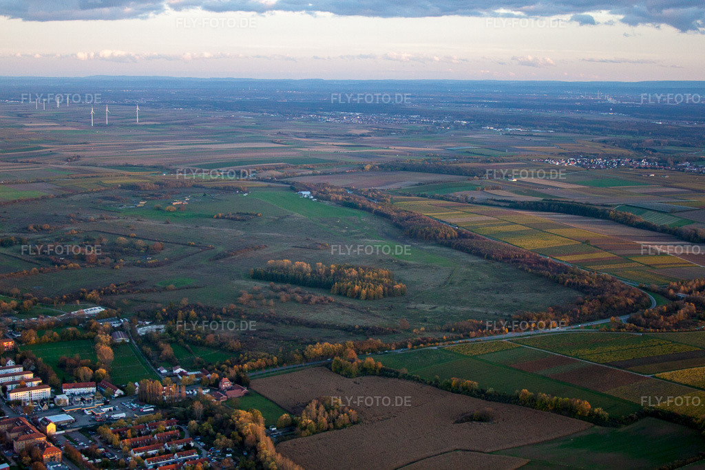 Luftbild: Segelfluggelände am Ebenberg in Landau in der Pfalz im Bundesland Rheinland-Pfalz in Deutschland.Foto: IMG_60836.jpg vom 09.11.2013 durch Werner Riehm/FLY-FOTO.deAuflösung des Originals: 4752 x 3168 px
