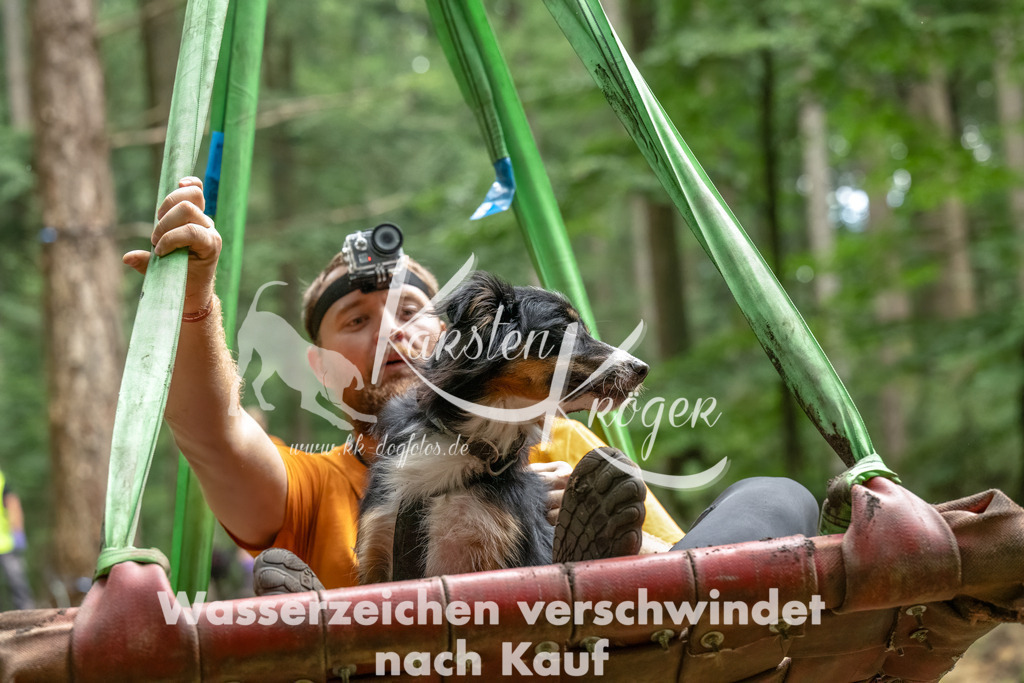1151_ZZ90822-Bearbeitet | kk-dogfotos