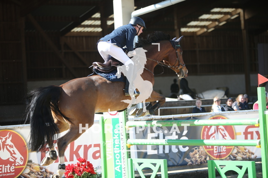 PP015557 | Willkommen bei Brunnmayr - Design & Fotografie – Ihrem Spezialisten für Reitturniere und Pferdeveranstaltungen in Oberösterreich, Salzburg und Bayern! Seit über 17 Jahren sind wir leidenschaftlich dabei.