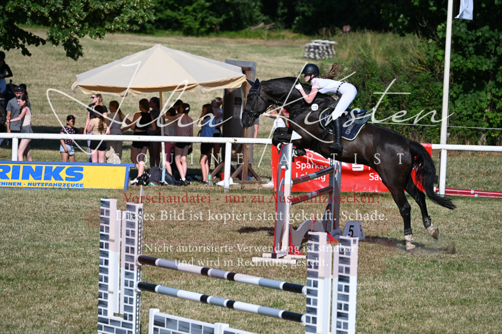 DSC_2501 | Pferde- und Turnierfotografie in Westsachsen. Pferdeportraits, Auftragszeichnungen und intuitive Kunst.