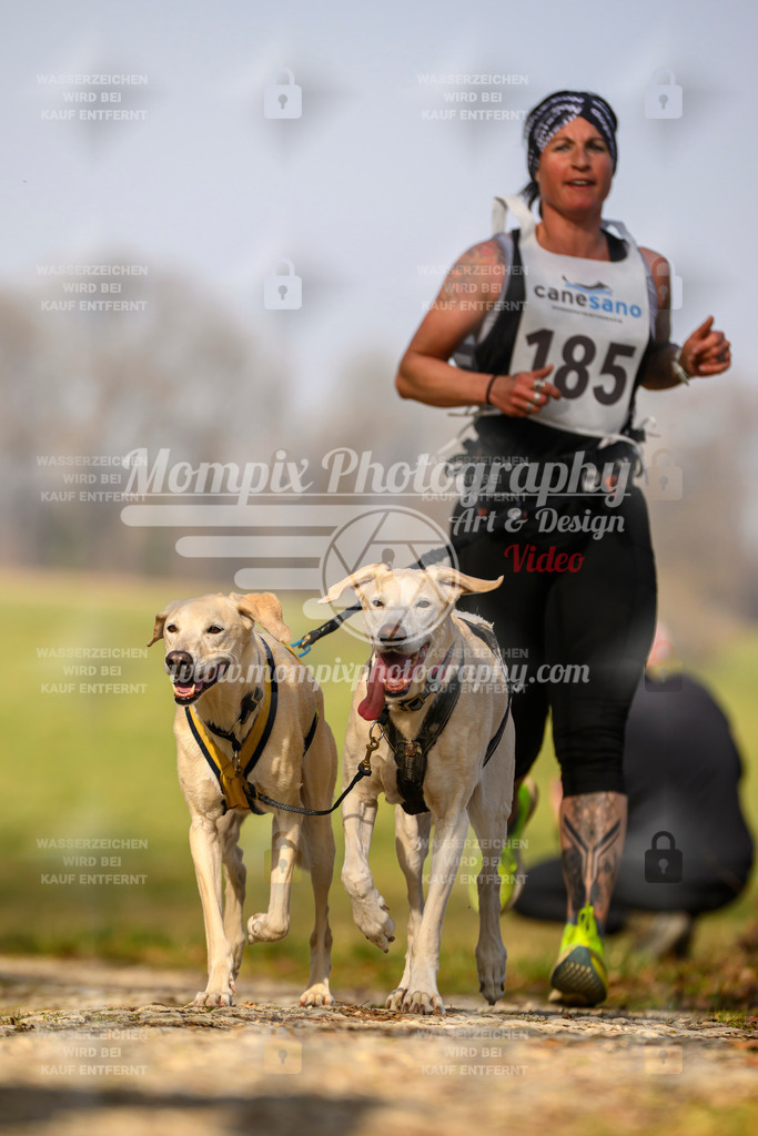 MompixPhotography_6ReiatRennen2026_SA_HappyDog-106 | PayLife