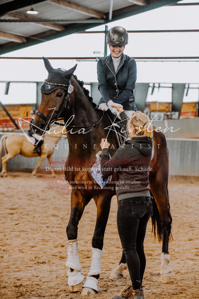 DSC_7729 | Pferde- und Turnierfotografie in Westsachsen. Pferdeportraits, Auftragszeichnungen und intuitive Kunst.