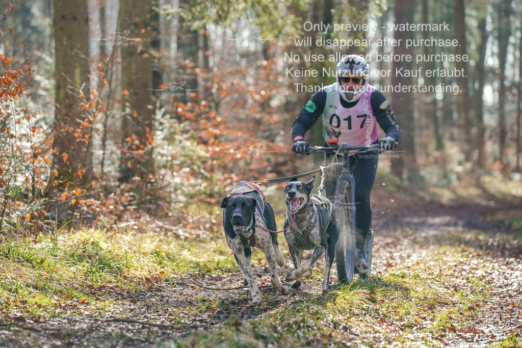 So_Scooter_2-13 | stephaniefillaphotographie - Realisiert mit Pictrs.com