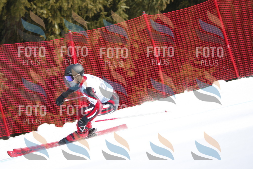 D8110 | holidayphoto