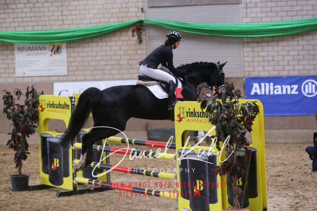 IMG_0661 | Turnierfotos kaufen im Webshop von Daniel Kuhl Photography – entdecke professionelle Reitsportfotos aus Turnieren & Events. Hochwertige Turnierbilder online bestellen & sichern. Jetzt Fotos von Reitsportturnieren kaufen!