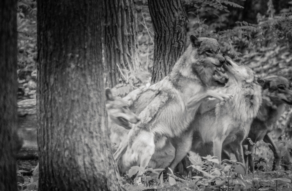 Dörverden, Deutschland | Dörverden - Realisiert mit Pictrs.com