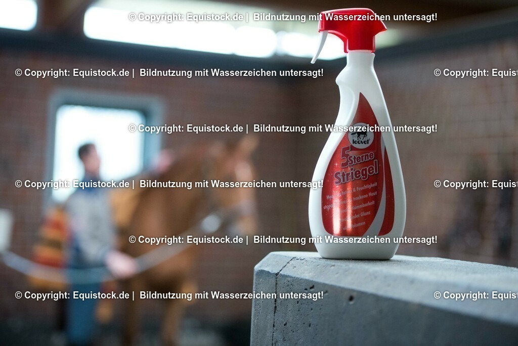 20160226_Leovet_0003 | equistock