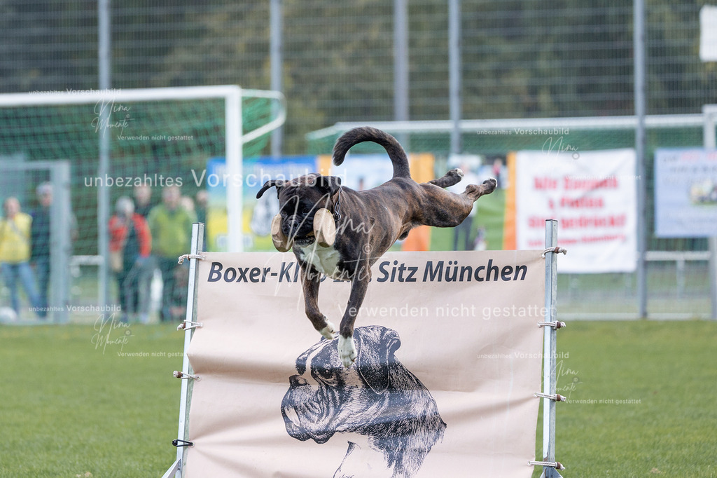 _16A5695 | Einzigartige Fotos von Hunden & Menschen –Actionfotos, Portraits, Vereinsaufnahmen & Paarshootings – authentisch, lebendig & mit Herz.