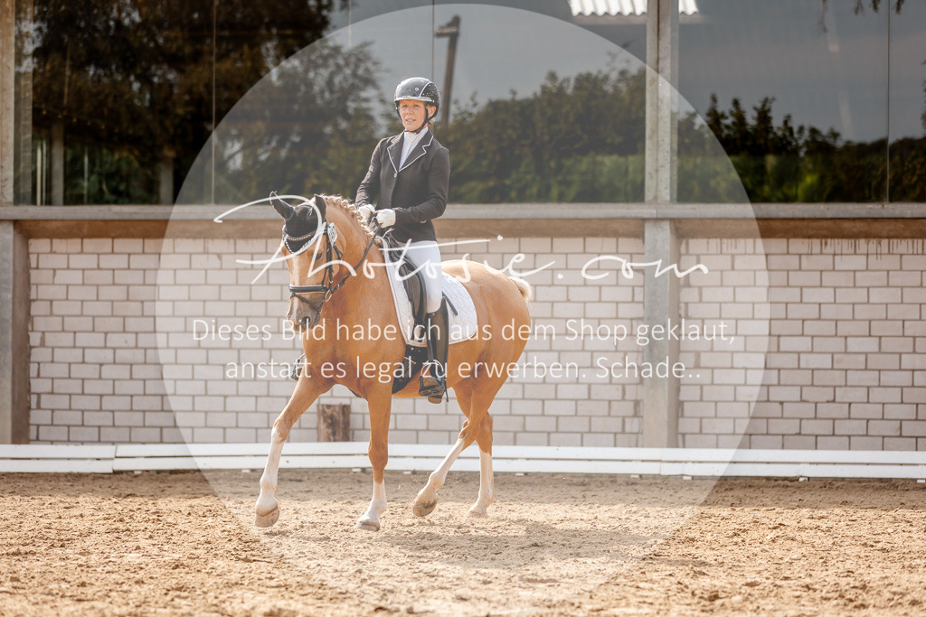 3I6A4394 | Stimmungsvolle Portraits und Reitsportfotografie im Ruhrgebiet und im Münsterland.

Pferdefotografie, Hundefotografie, Tierfotografie, Reportagen, Portraits von Tier und Mensch, Turnierfotografie in Bochum, Recklinghausen, Marl, Haltern am See, Dülmen.. - Realisiert mit Pictrs.com