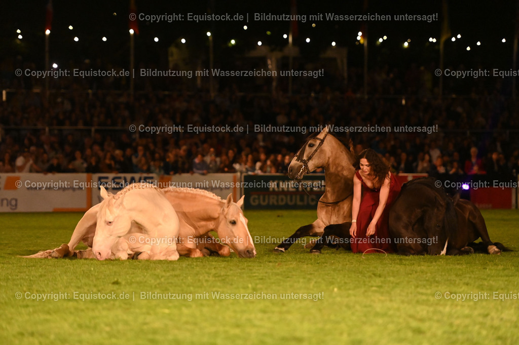 20230526_Pferdenacht_1548 | equistock