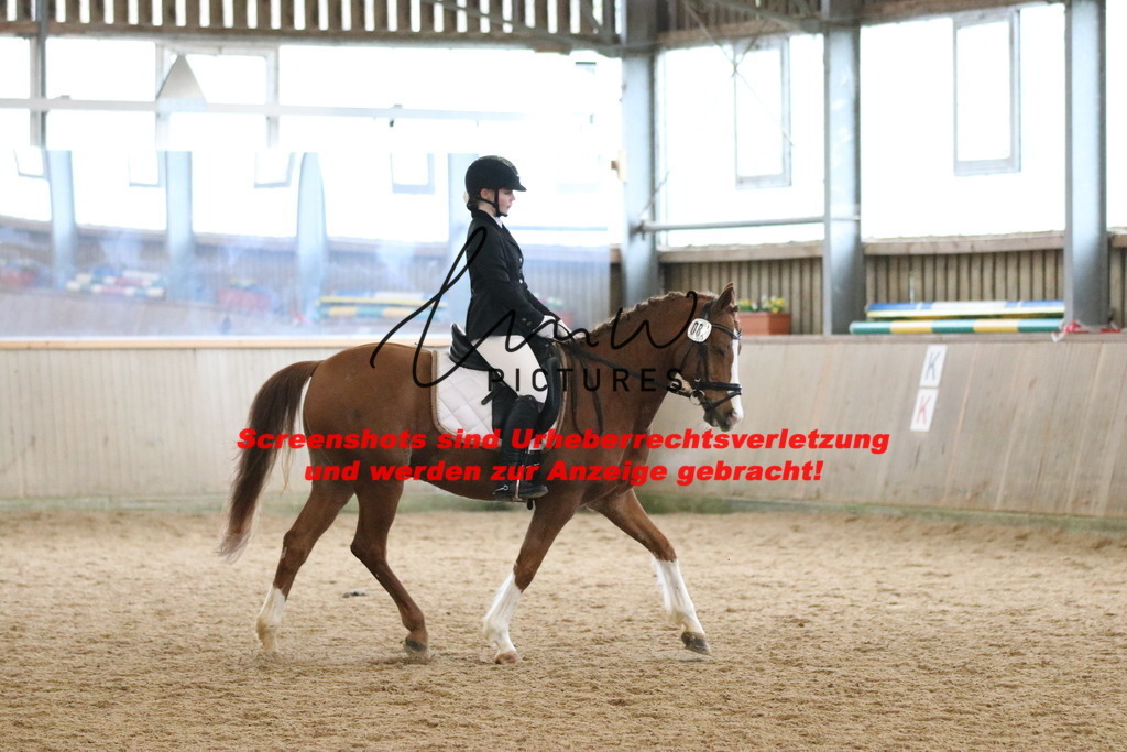 IMG_4626 | lmwpictures - Realisiert mit Pictrs.com