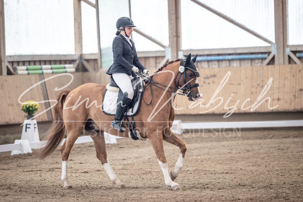 20251011-_3LI1092 | Tierfotografie Pferde, Hunde, Katzen, Haustiere.
Turnierfotografie Reitturniere, Reiten, Springreiten, Dressur in Hanau, dem Main-Kinzig-Kreis und dem Rhein-Main- Gebiet um Frankfurt
