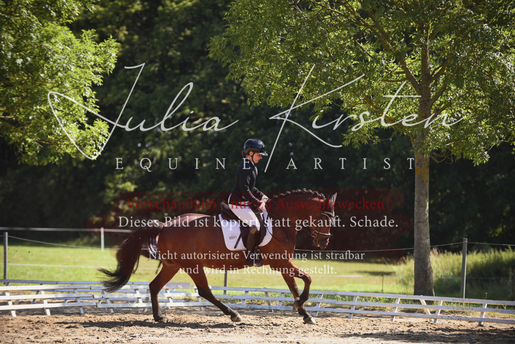 DSC_0383 | Pferde- und Turnierfotografie in Westsachsen. Pferdeportraits, Auftragszeichnungen und intuitive Kunst.