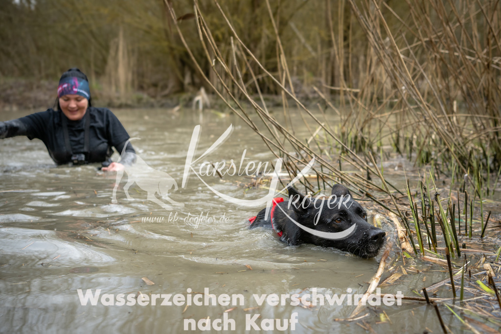 1600_ZZ95341 | kk-dogfotos