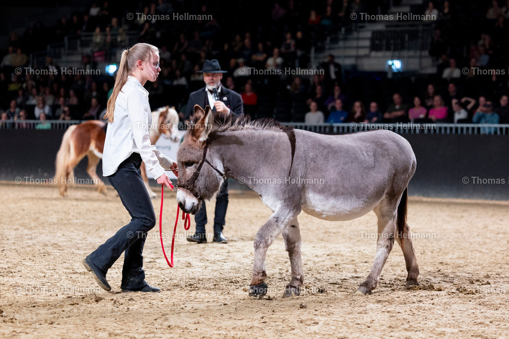 TH_Marius Schneider_ Bent Branderup_ Ute Anhang_26958 | EQUITANA 2025 am 09.03.25 in Essen