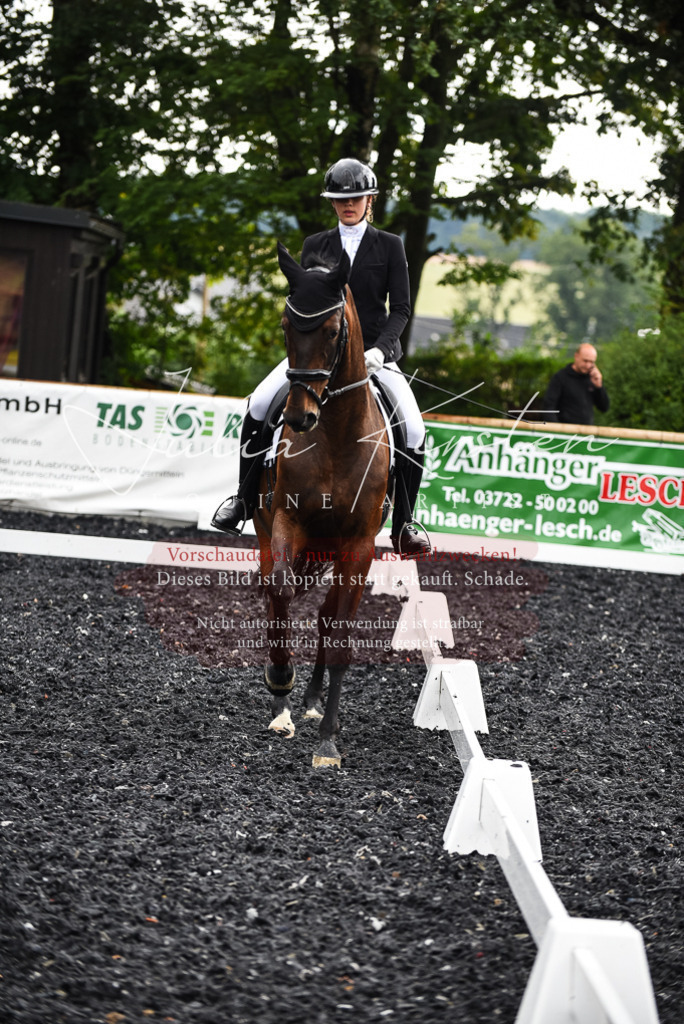DSC_2943 | Pferde- und Turnierfotografie in Westsachsen. Pferdeportraits, Auftragszeichnungen und intuitive Kunst.