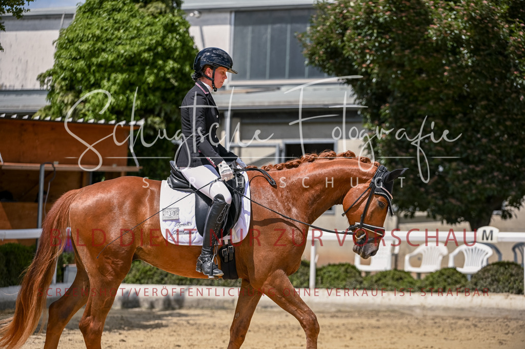 Schugtsche-Aluta25-48.Reitpferfdeprf.-272 | Schugtsche Fotografie - Realisiert mit Pictrs.com