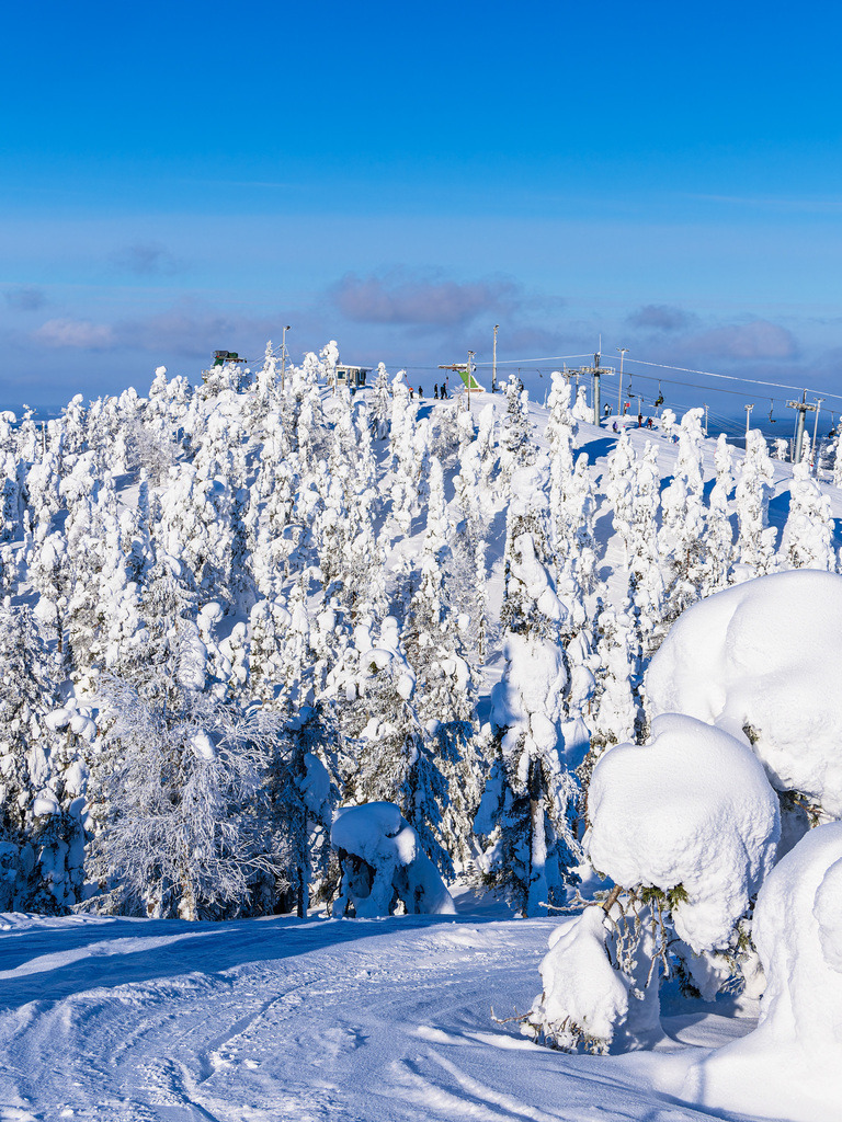 Landschaft mit Schnee und Bäumen im Winter in Ruka, Finnland | Landschaft mit Schnee und Bäumen im Winter in Ruka, Finnland.