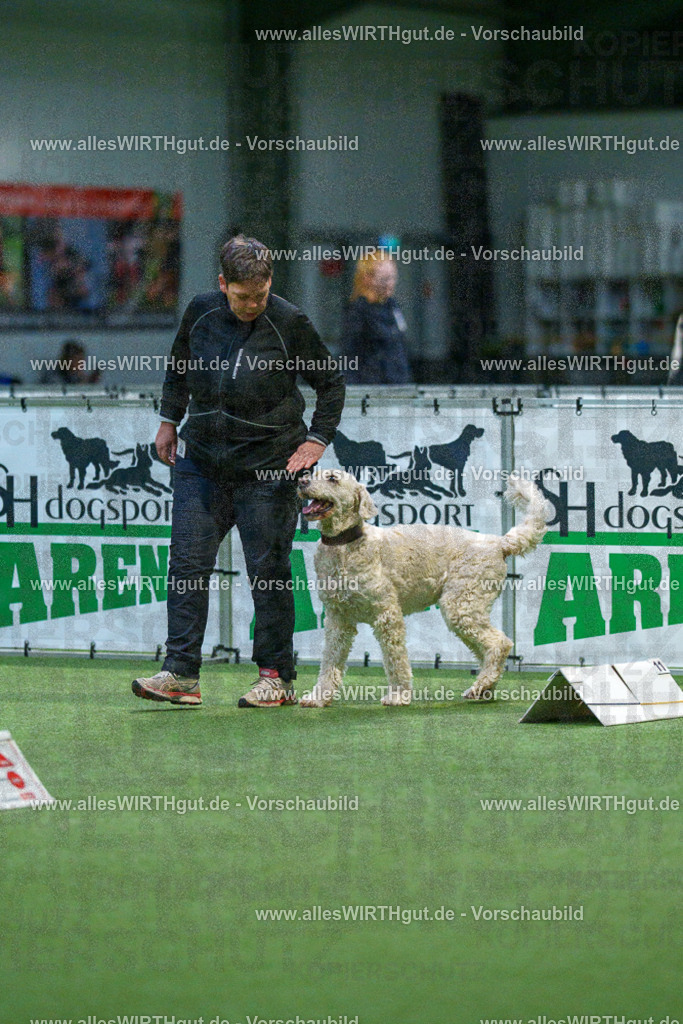 7R500778 | Professionelle Tierfotografie in Mönchengladbach von Daniel Wirth (allesWIRTHgut). Liebevolle & natürliche Bilder von Hunden & Katzen für unvergessliche Erinnerungen.