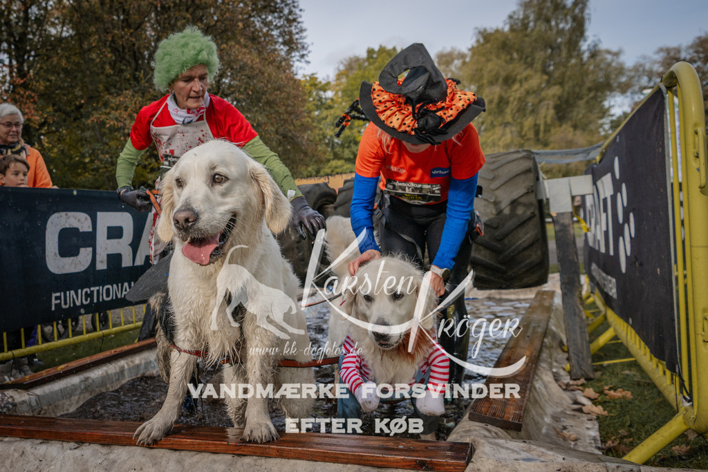 1447_ZZ90194 | kk-dogfotos