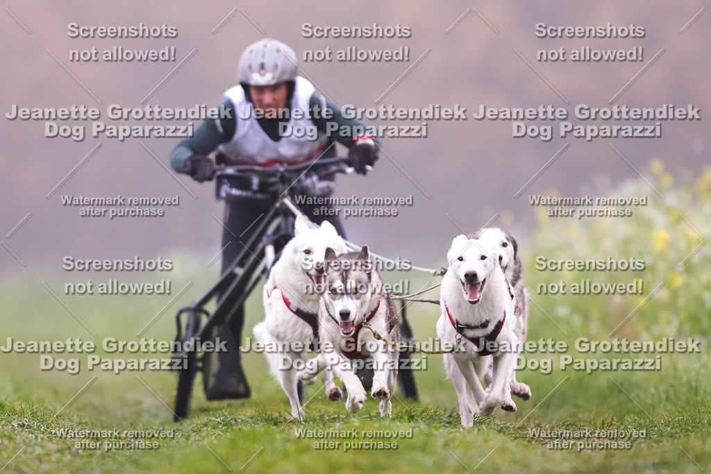 Dog Paparazzi - Visbeck 25 -16 | Dog Paparazzi Jeanette Grottendiek Fotografie & Videografie - Realisiert mit Pictrs.com