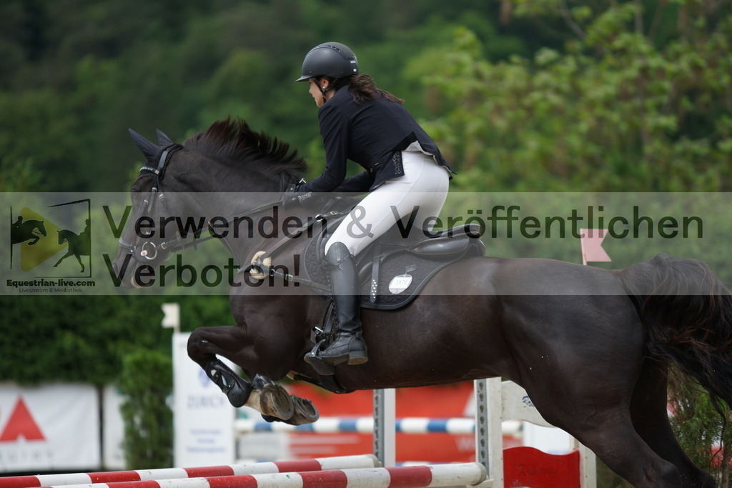 DSC06684 | equestrian-live-com