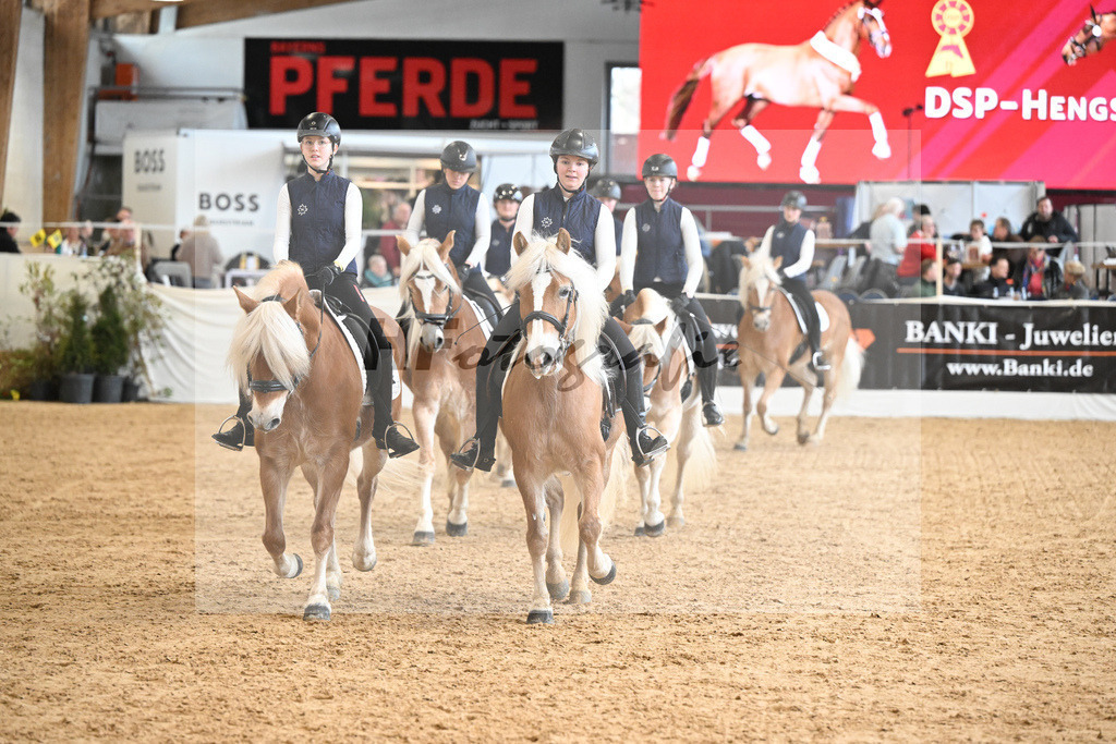 Schauprogramm Haflinger Quadrille_2251521 | hf-fotografie - Realizzato con Pictrs.com