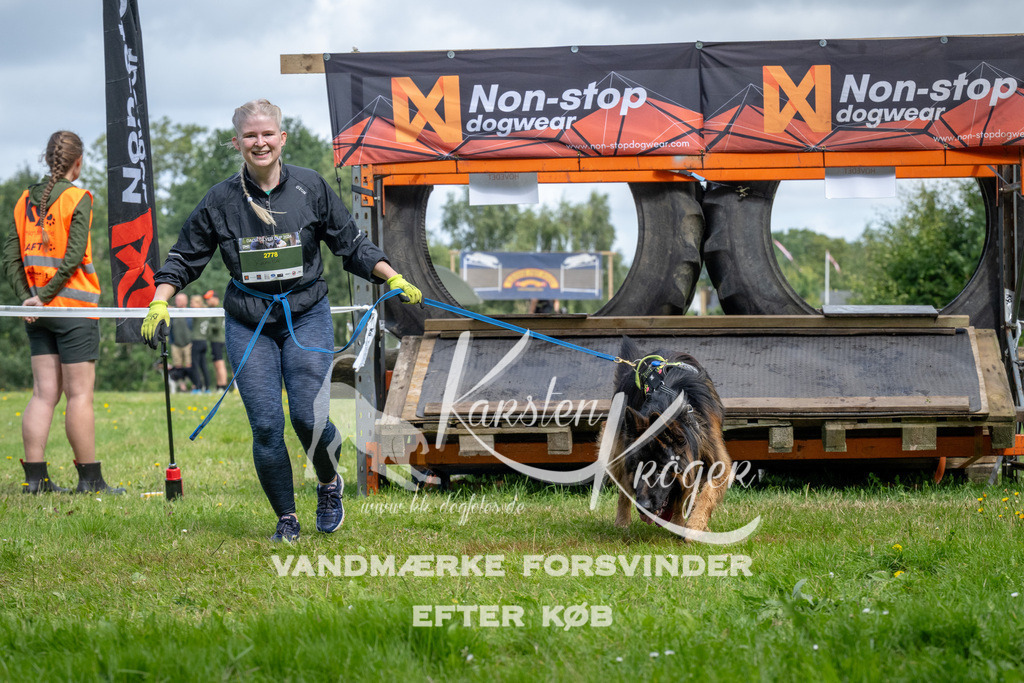 1137_ZZ92856 | kk-dogfotos