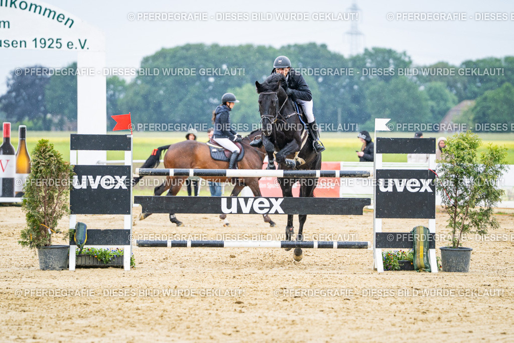 DSC08481 | Pferdegrafie