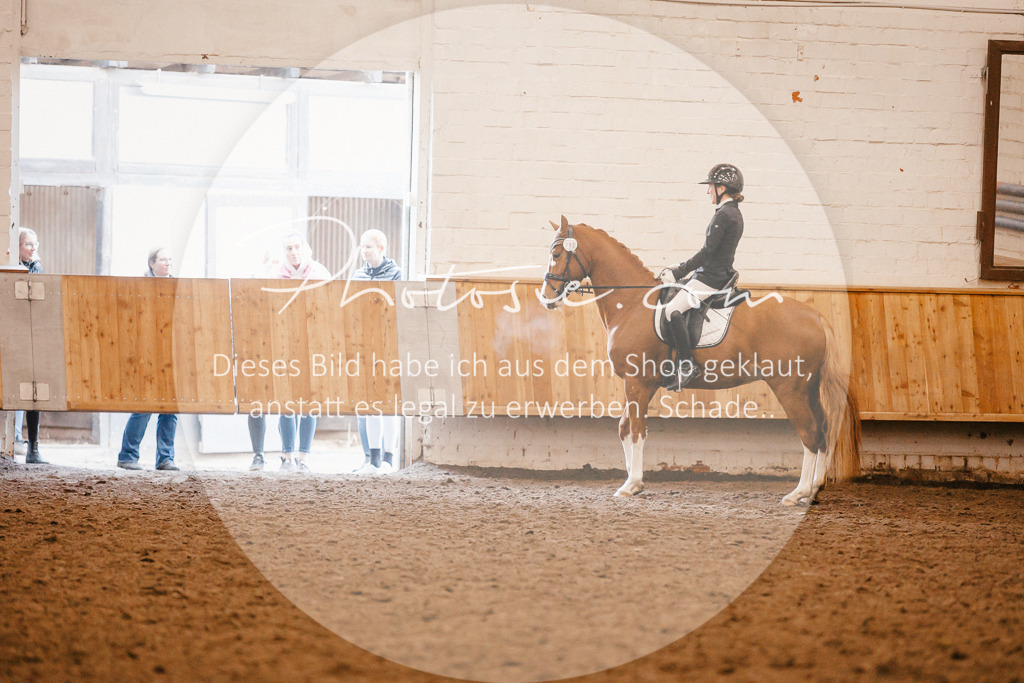 3I6A1769 | Stimmungsvolle Portraits und Reitsportfotografie im Ruhrgebiet und im Münsterland.

Pferdefotografie, Hundefotografie, Tierfotografie, Reportagen, Portraits von Tier und Mensch, Turnierfotografie in Bochum, Recklinghausen, Marl, Haltern am See, Dülmen.. - Realisiert mit Pictrs.com