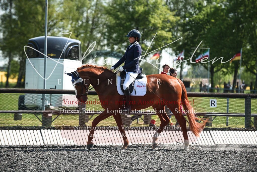 DSC_8850 | Pferde- und Turnierfotografie in Westsachsen. Pferdeportraits, Auftragszeichnungen und intuitive Kunst.