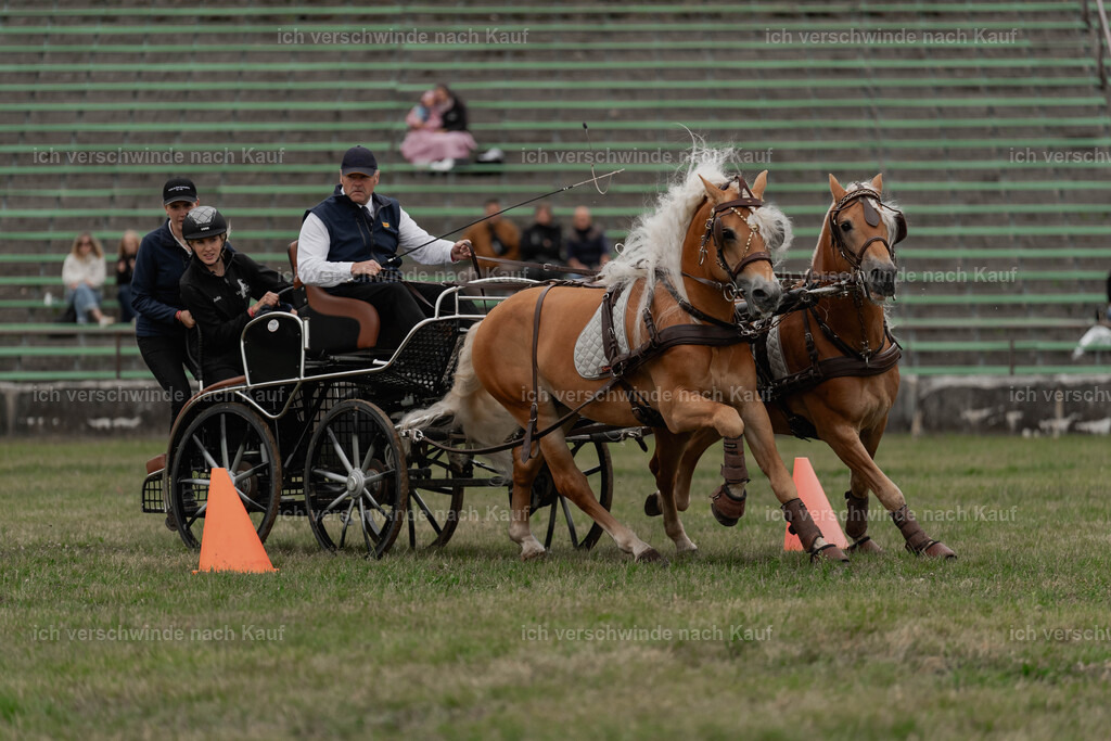 Showprogramm-514 | working equitationturnier fotograf videograf stoibphotography marixx film working equitation deutschland reitsport turnierfotografie eventfotografie equestrian events