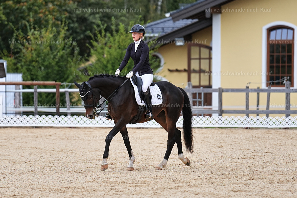 3-104-Dressur M_-Marixx-1968 | working equitationturnier fotograf videograf stoibphotography marixx film working equitation deutschland reitsport turnierfotografie eventfotografie equestrian events