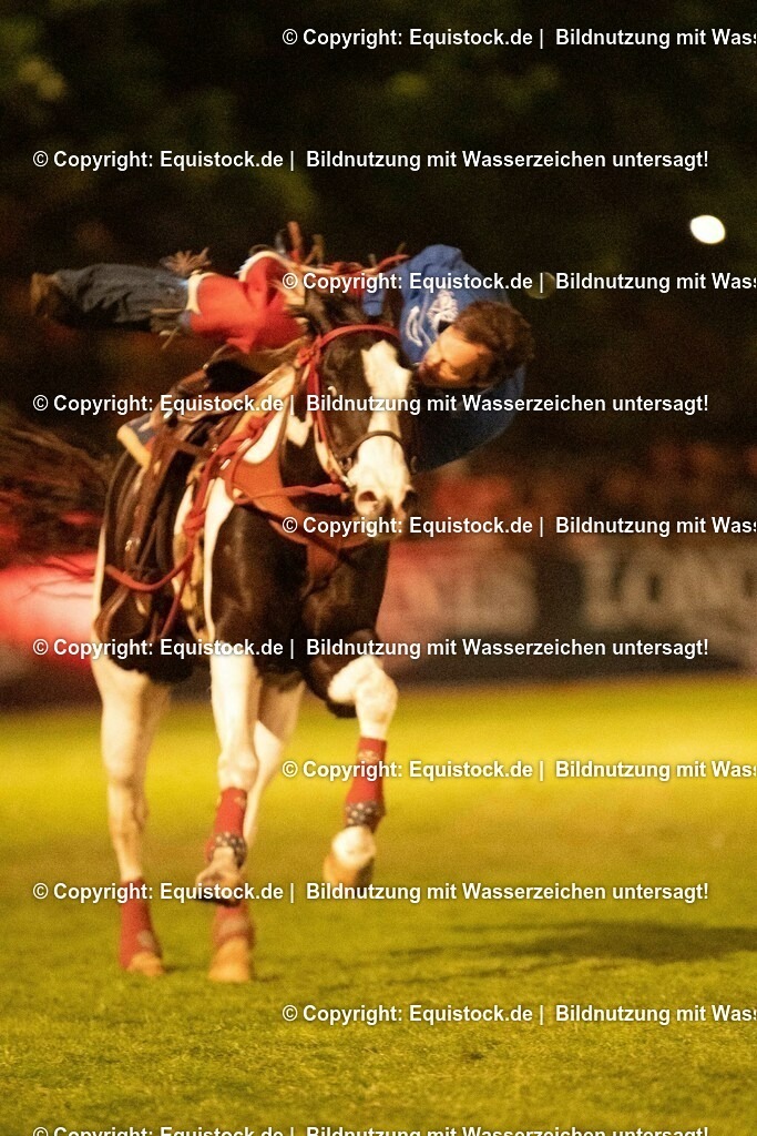 20230526_Pferdenacht_1276 | equistock