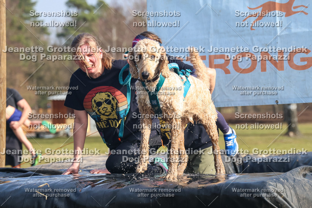 Dog Paparazzi - Strongdog North Mrz26-2115 | Dog Paparazzi Jeanette Grottendiek Fotografie & Videografie - Realisiert mit Pictrs.com