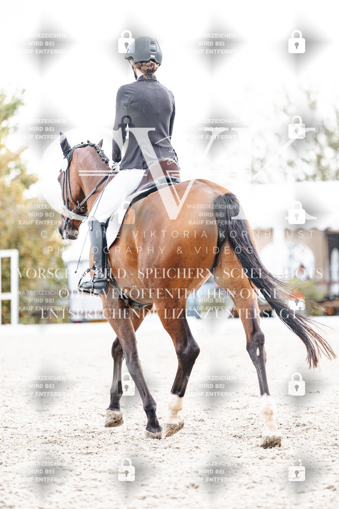 CK901013 | Turnierfotografie Pferdefotografie Trier Rheinland-Pfalz Pferdesport Reitsport Tierfotografie Sportfotografie Pferdevideo Pferdevideografie Equestrianvideography equestrianphotography  - Realisiert mit Pictrs.com