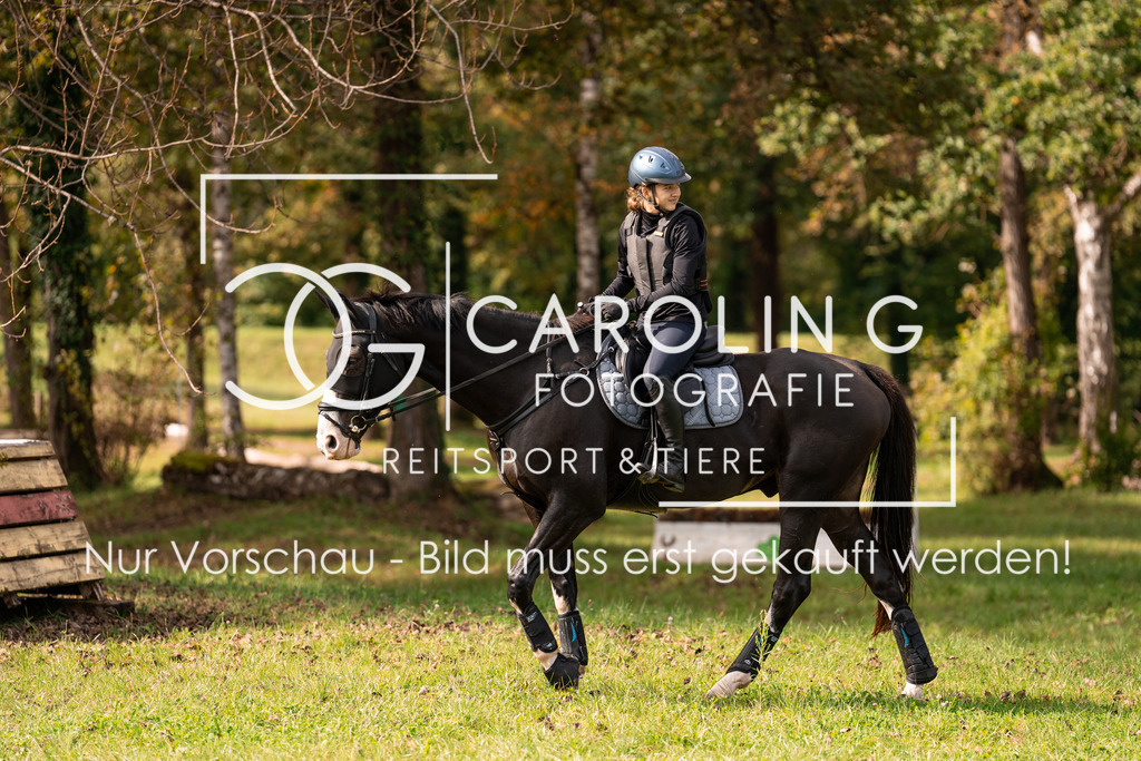 DSC07966 | Turnierfotografin Carolin Gieschke, Turnierfotografie Carolin G Fotografie, Turnierfotos Kirchheim/Teck, Esslingen, Stuttgart, Bodenseekreis